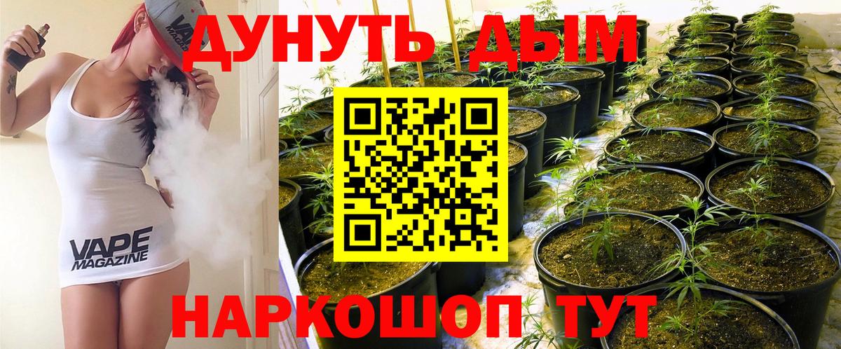 Конопля AK-47  МАРИХУАНА ГИДРОПОН  Боровичи  Бошки Шишки White Widow  Вход с VPN  Бошки Шишки семена 